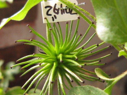 c0025140_20324521.jpg