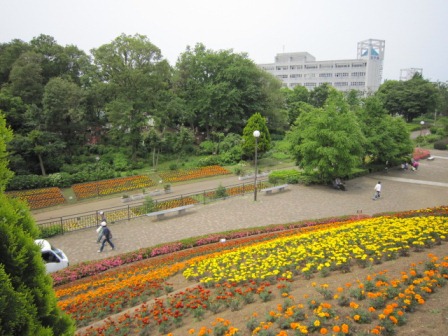 c0025140_20391020.jpg