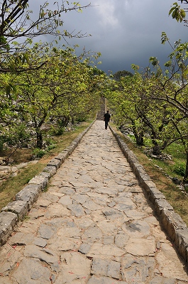 a0182241_20363398.jpg
