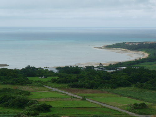 b0041442_227561.jpg