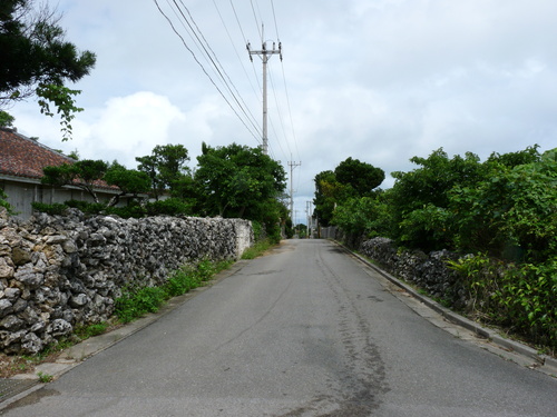 b0041442_2292054.jpg