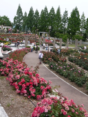 e0100046_211162.jpg