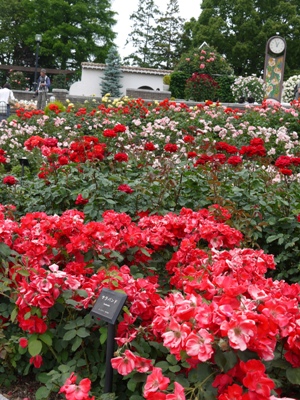 e0100046_21141770.jpg