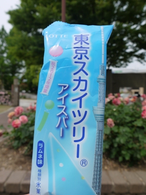 e0100046_21501649.jpg