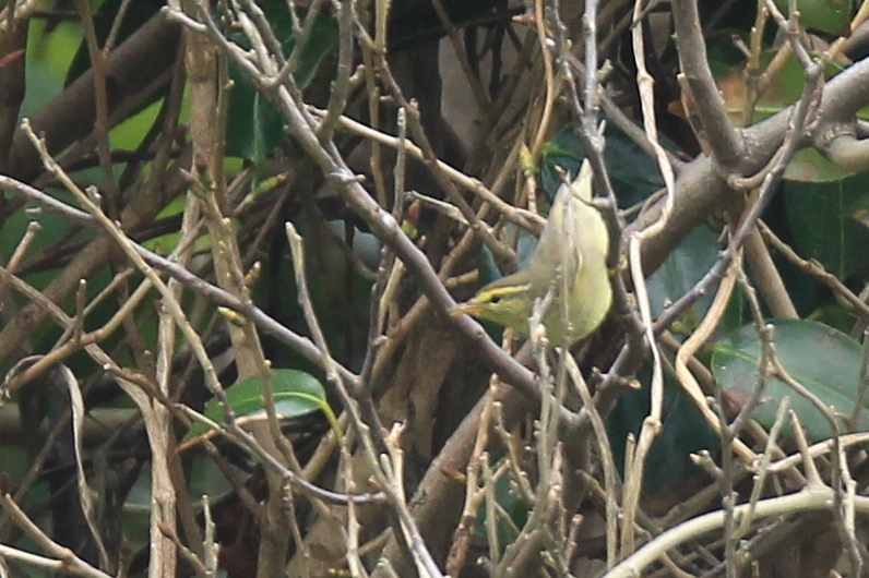 c0136654_23264662.jpg