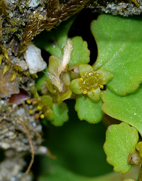 d0091754_20104348.jpg