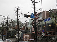 e0113254_23441089.jpg