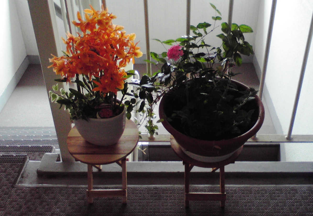 f0057955_2162542.jpg