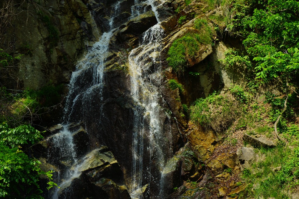 e0223456_8264343.jpg