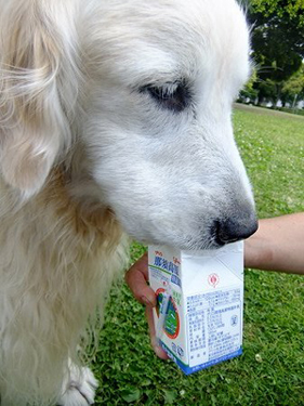c0097558_2173372.jpg