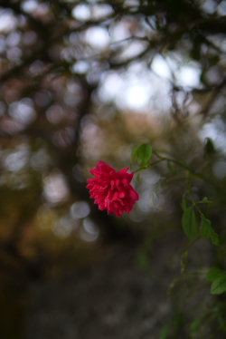 f0214858_8405761.jpg