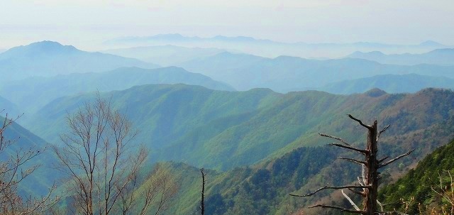 c0119160_18165499.jpg