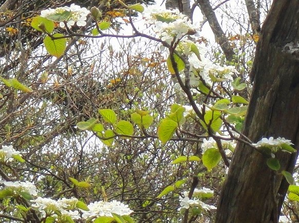 c0119160_193901.jpg