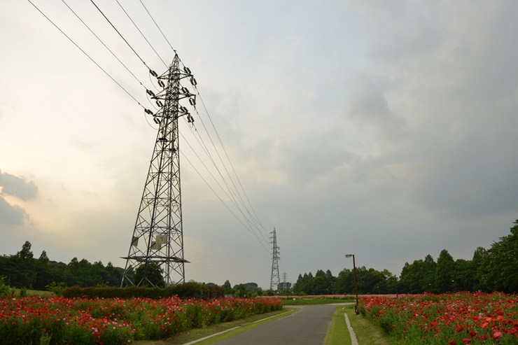 f0222161_2092241.jpg