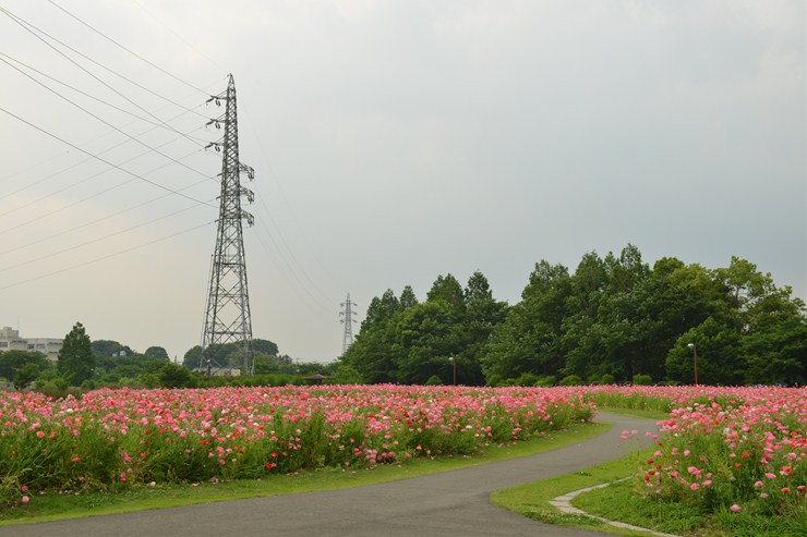 f0222161_2093492.jpg