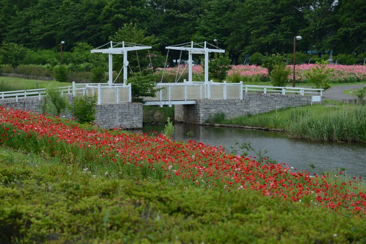 f0222161_209522.jpg