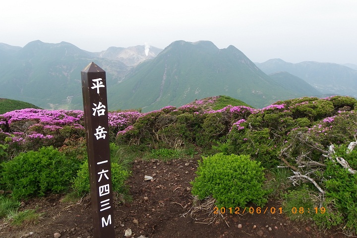 f0016066_19311593.jpg