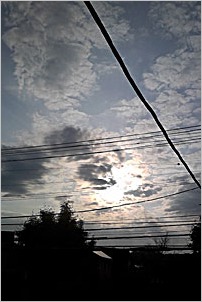 a0050669_30335.jpg