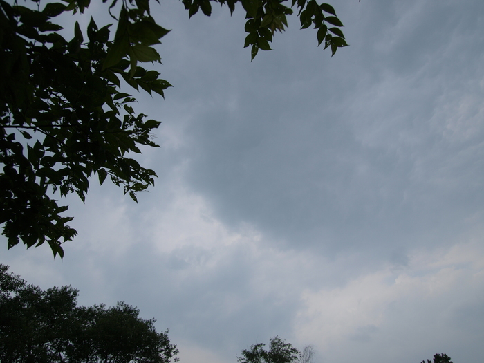 a0260570_1081199.jpg