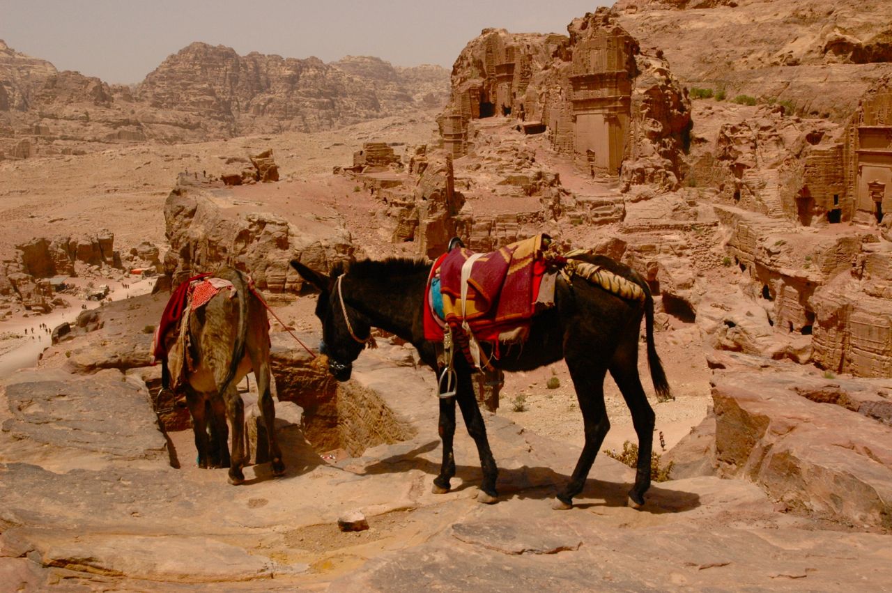 d0008073_5545787.jpg