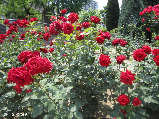 b0245877_030710.jpg