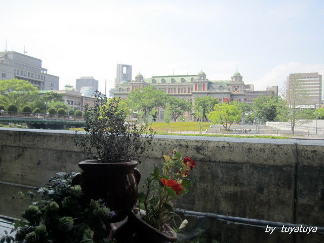 b0245877_0312978.jpg