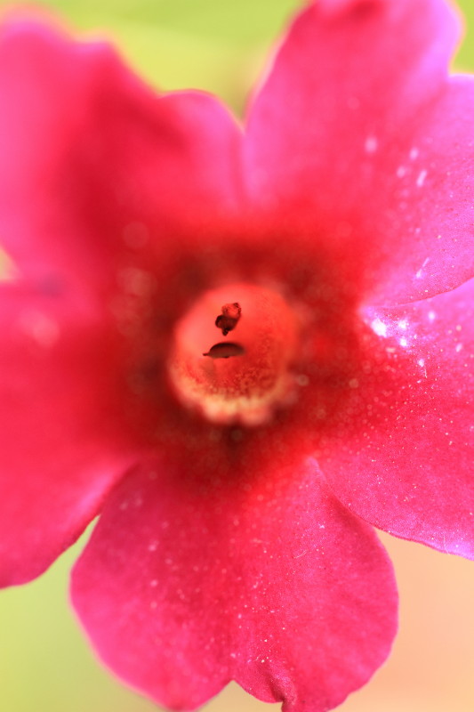 c0148777_21442976.jpg