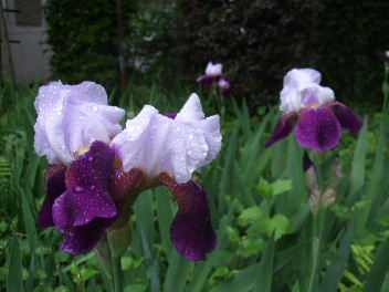 f0039281_22273769.jpg