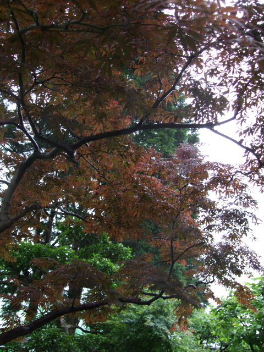 f0039281_22275255.jpg