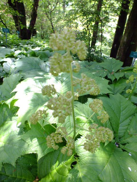 e0145782_2027743.jpg