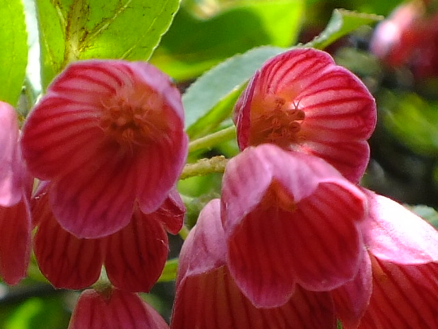 e0145782_2029817.jpg