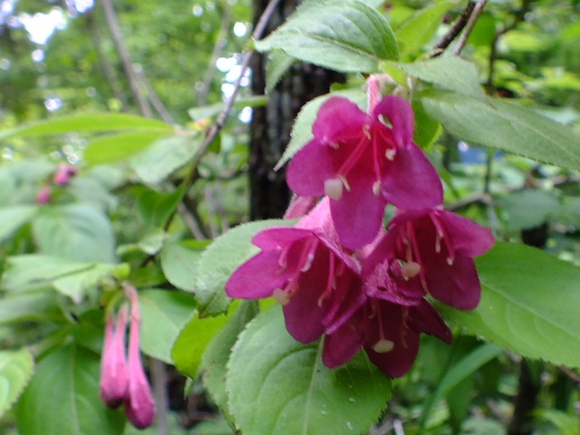 e0145782_20343071.jpg