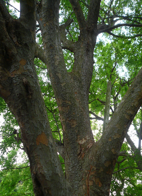 f0183484_1235776.jpg