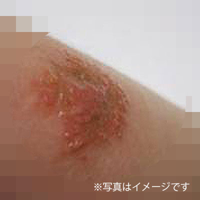 a0240289_2258431.jpg