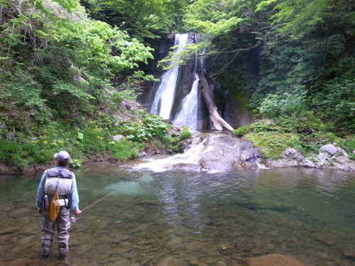 b0178889_1549681.jpg