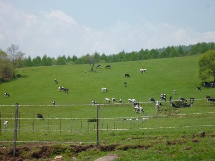 c0123890_2125465.jpg