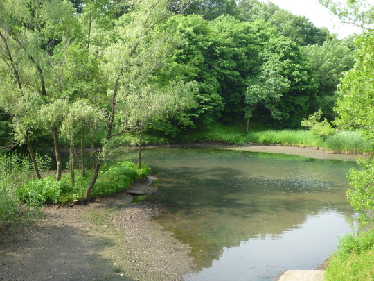 a0272591_1011125.jpg