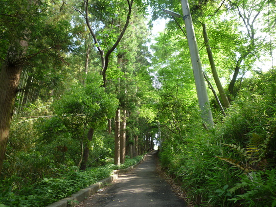 a0272591_109741.jpg