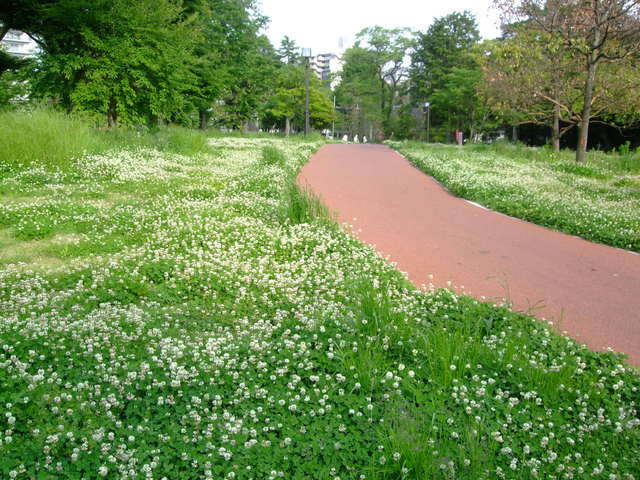 f0100593_17324315.jpg
