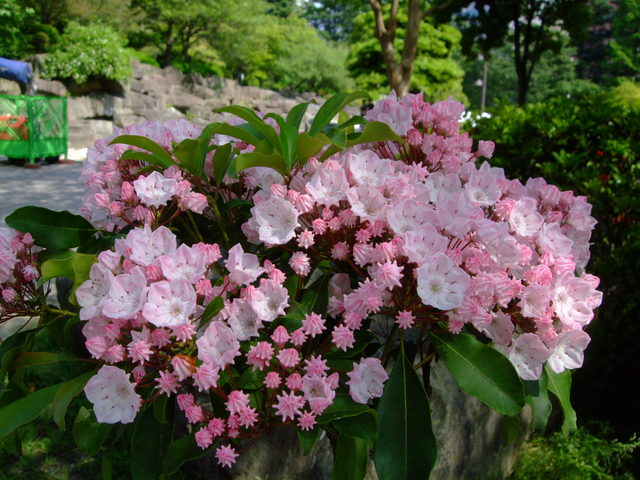 f0100593_1732540.jpg