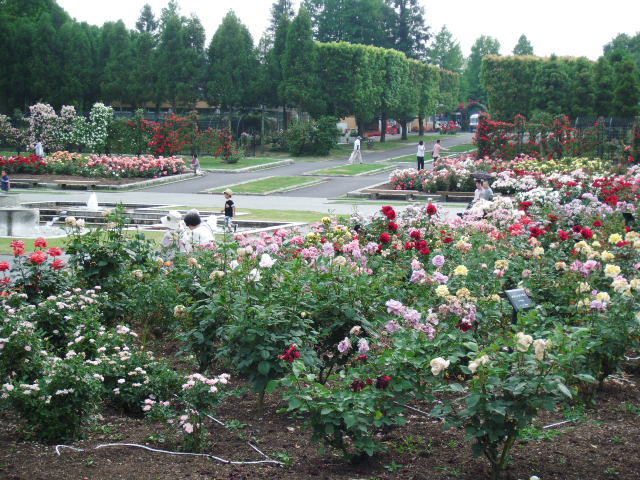 a0190999_1531949.jpg