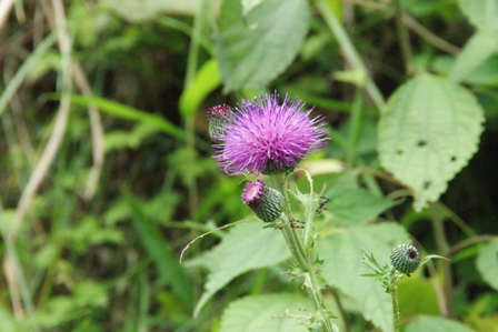 c0208200_2139211.jpg