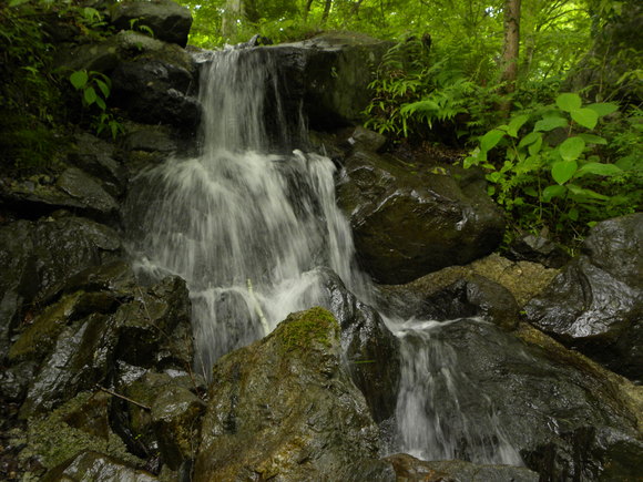a0270501_15144614.jpg