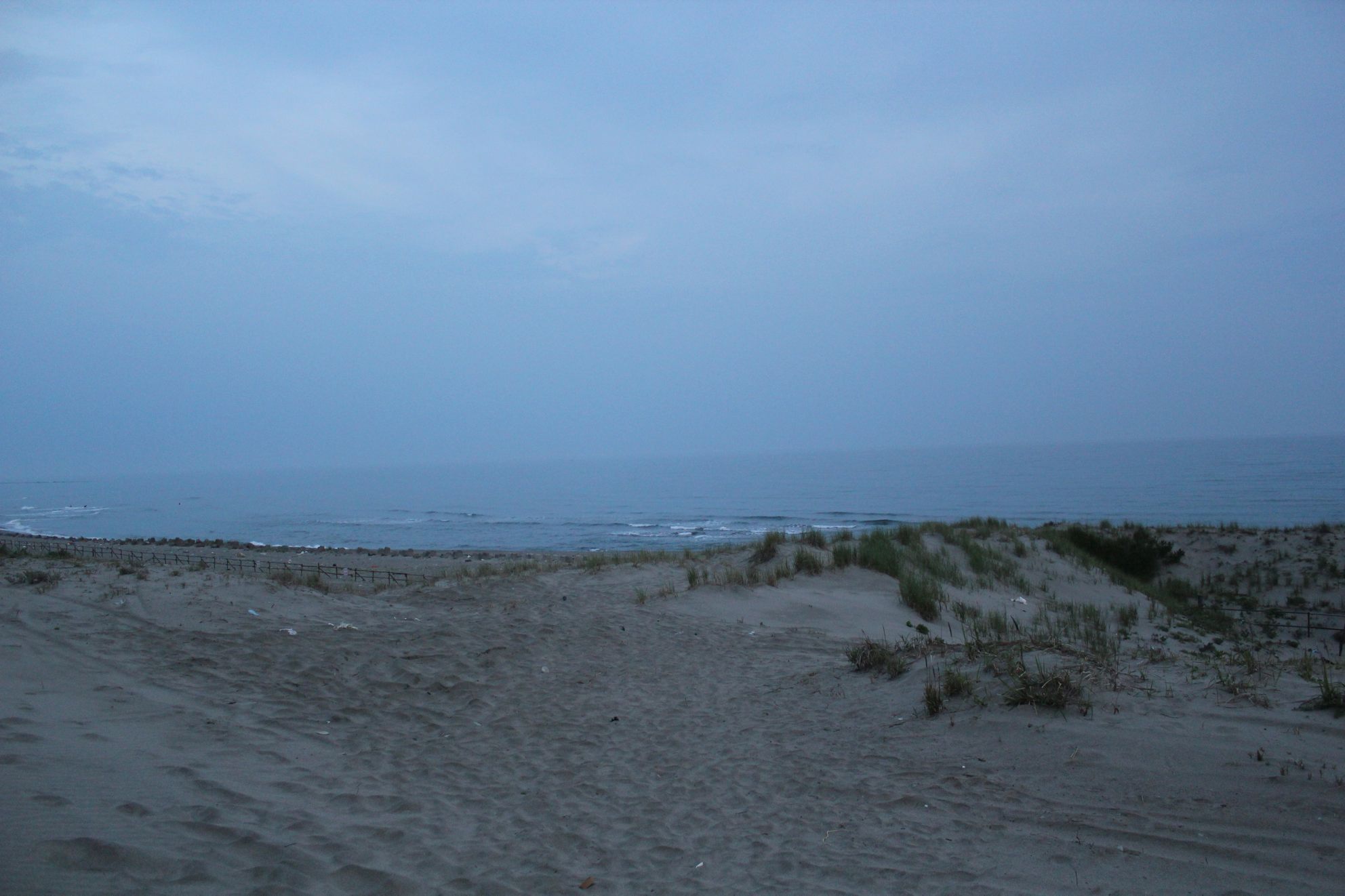 a0264604_7274851.jpg