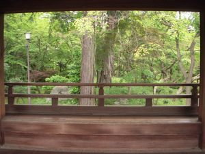 b0217204_17541021.jpg