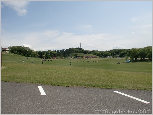 c0110906_18593436.jpg