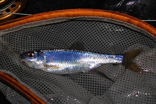 e0123808_0592011.jpg