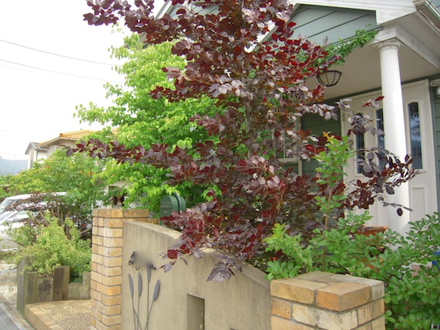 e0271409_19112022.jpg