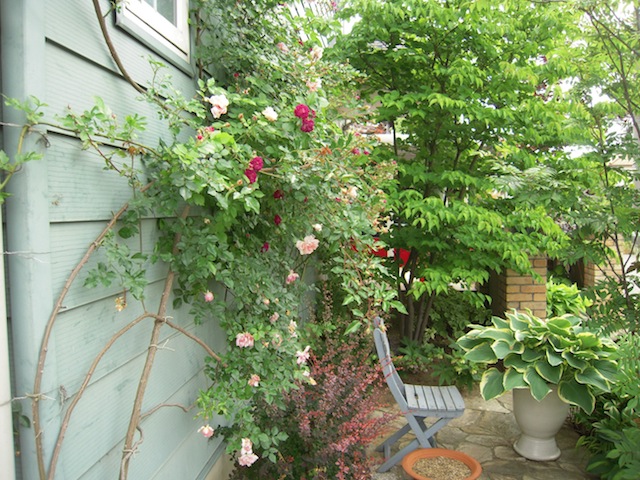 e0271409_19123540.jpg