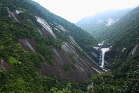 d0077811_1141642.jpg